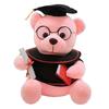 Urso de Pelúcia de Formatura, Animal de Pelúcia Macio, Ursinho Personalizado da Turma de 2026 com Robe Bordado, Lindo Presente de Formatura para Ela ou Ele