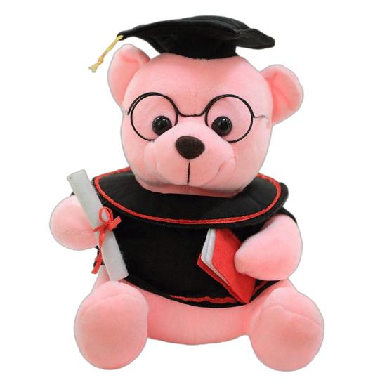 Urso de Pelúcia de Formatura, Animal de Pelúcia Macio, Ursinho Personalizado da Turma de 2026 com Robe Bordado, Lindo Presente de Formatura para Ela ou Ele