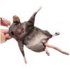 Bendable Mouse Keychain Wire Frame Mouse Doll Novelty Rat Plush Pendant  Kids Toy