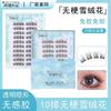 Aimo - Natural Crisscross Glue-Free Cluster False Eyelashes
