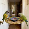 Metal Bird Food Container Decorative Parrot Feeder Tray Bird Food Dispenser  Outdoor Garden Decor