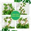 80cm Bendable Coco Coir Moss Pole Plant Cage Climbing Pole Plant Support Extension for Monstera Plant To Grow Upward Garden