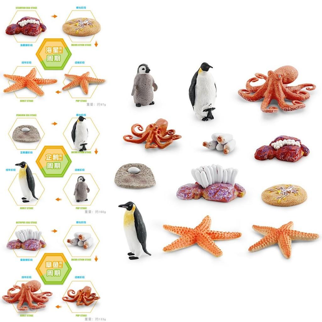 Realistic Ocean Animal Growth Cycle Model Set Featuring Octopus Penguin And Starfish