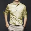 Men's Spring and Autumn Four Seasons Paragraph Thin Section Lapel Solid Colour Business Casual Button Paragraph Shirt Professional Formal Wear