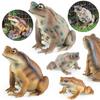 Childrens Frog Animal Plastic Model With Realistic Frog Design For Educational Gifts