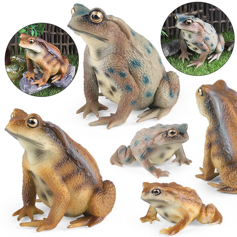 Childrens Frog Animal Plastic Model With Realistic Frog Design For Educational Gifts