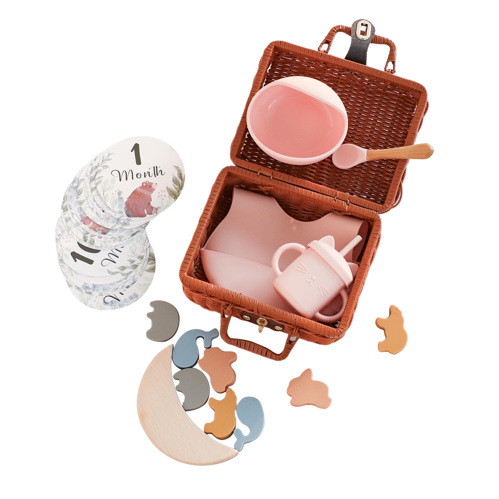 

Promise Babe Детский подарок роскошный набор, идеально подходящий для новорожденных и включает в себя детский силиконовый конструктор-присоску для балансировки цвета, 16 ежемесячных карточек и хранилище