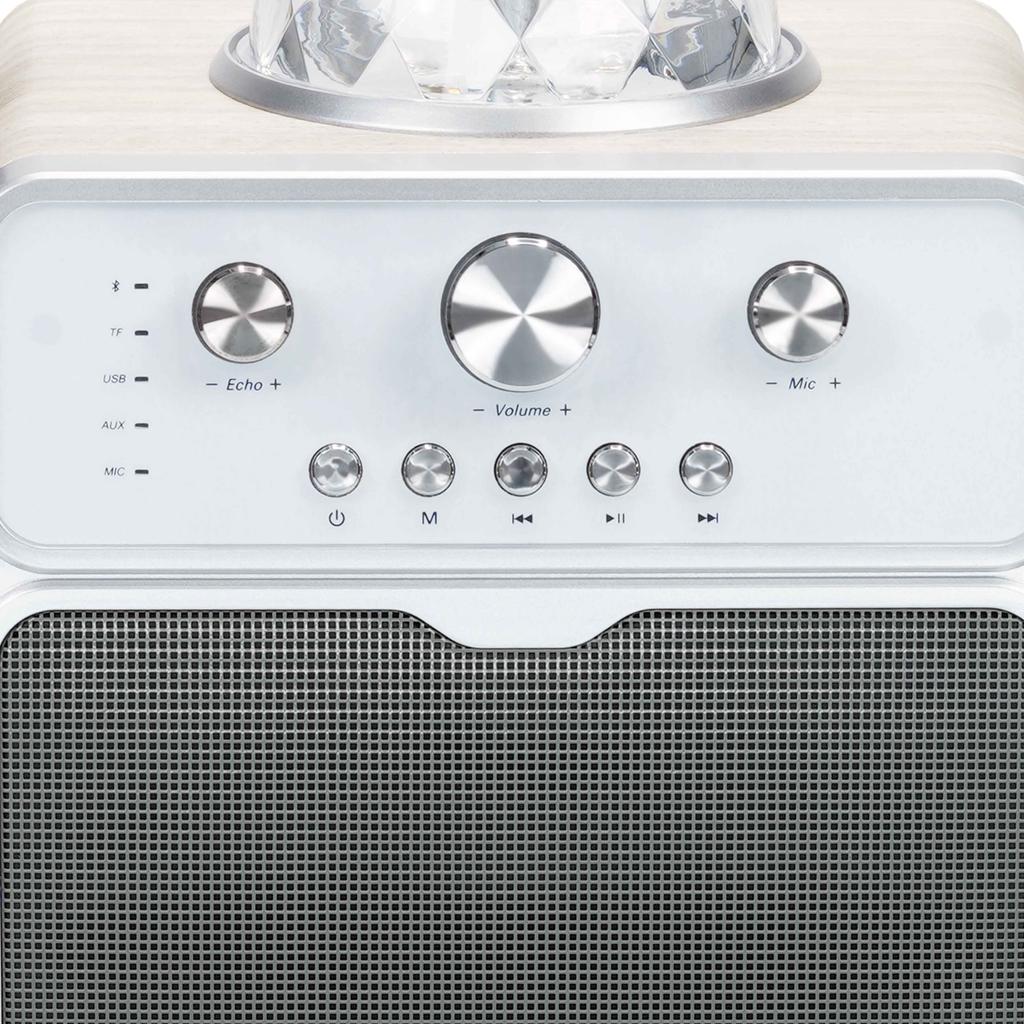 MusicMate MM-SK200 Apex Smart Karaoke Set