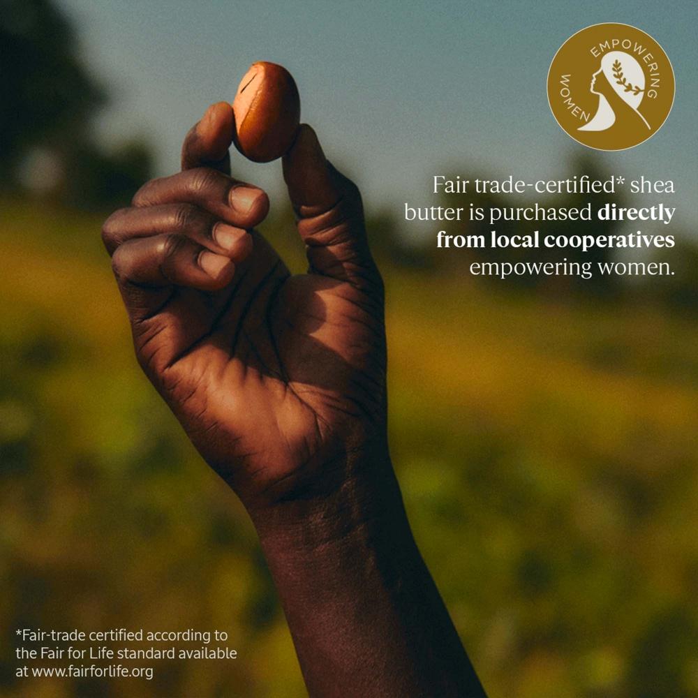 L Occitane Shea Butter Intensive Hand baLm