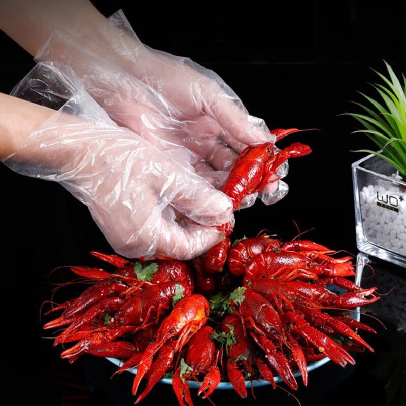 Disposable PE Gloves (100-Pack)