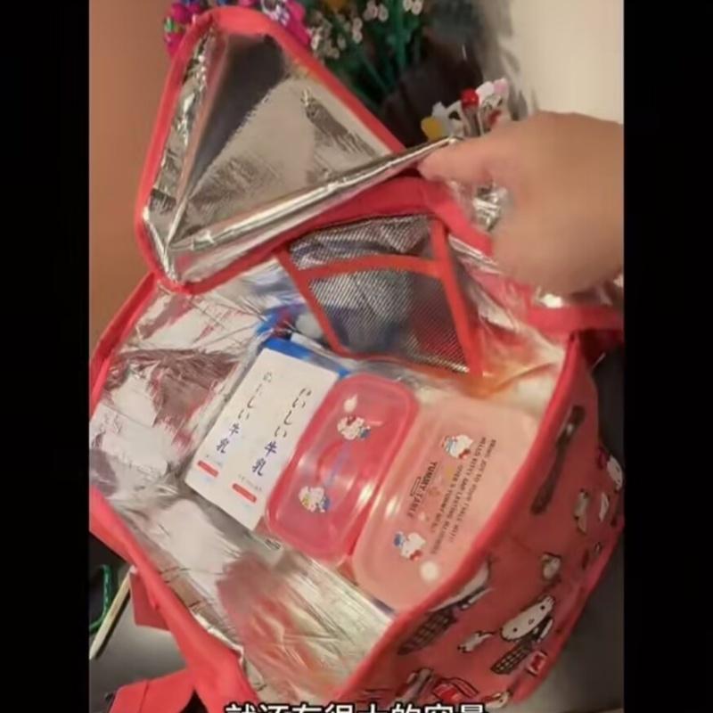 Hellokitty Cartoon Printed Picnic Bag, Handbag, Picnic Bag, Portable Outside, Suitable For Moderate Insulation, Large Capacity,