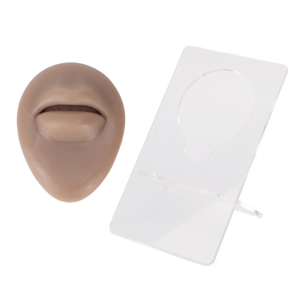 Simulated 3D Mouth Model Piercing Practice Silicone Mouth Model with Acrylic Stand for Jewelry Display Dark Skin Color