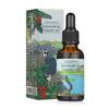 Tree & Sea Madagascar Tamanu Oil 30ml