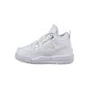 Jordan 4 Retro Pure Money 2017 TD 308500-100