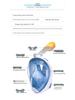 Hot Selling Adult Full Face Anti-Fog Silicone Snorkeling Mask