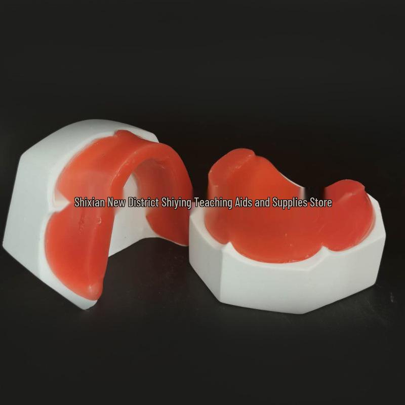 Dental Edentulous Wax Rim Model - Student Practice Denture Base
