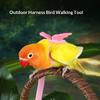 Random Adjustable Parrot Bird Harness Leash Set Anti-Bite Training Harness Parrots Outdoor Flying Rope