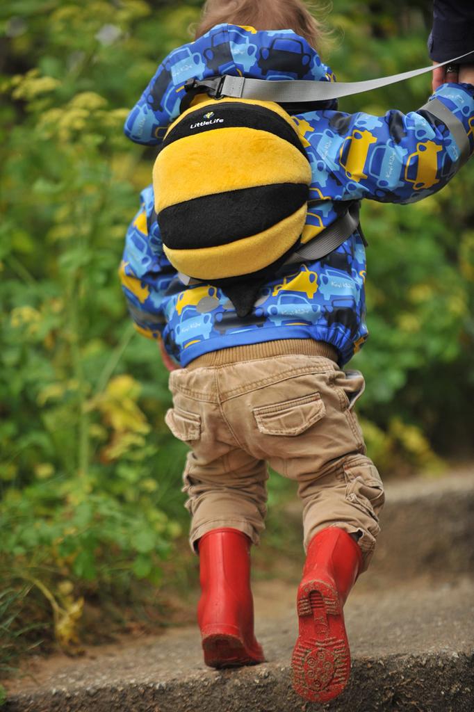 Little Life Bee Harness Backpack L10241 (x 1)