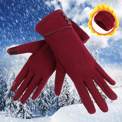 Graceful Thicken Windproof Touch Screen Gloves Plus Velvet Skiing Gloves Driving Mittens