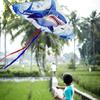 Kids Animal Kite with Flying Line Outdoor Beach Park Lawn Easy To Fly Large Long Tail Colorful Cartoon Kite Adults Boys Girls Gift