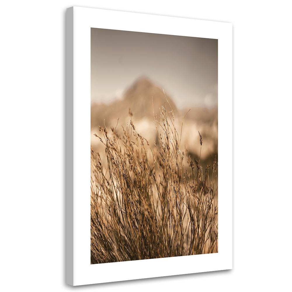 Canvas Print, Dried Grass
