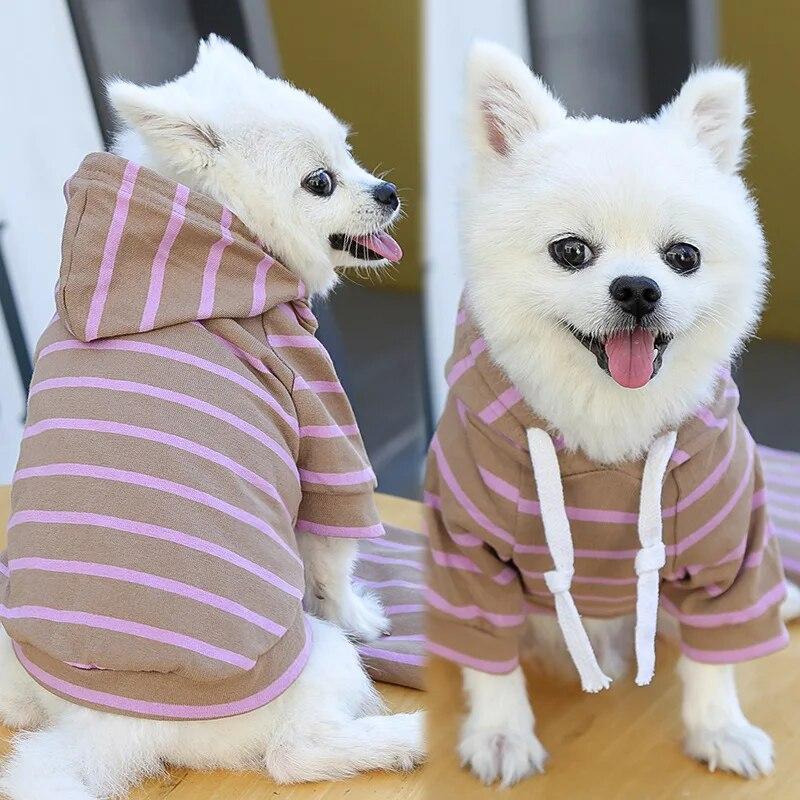 Winter Dog Clothes for Small Medium Dogs Striped  Hoodie Pet Puppy Cat Sweatshirt Schnauzer Coat Chihuahua French Bulldog Outfit