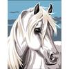Canvas Kit - Margot - White Horse - 14 X 18 Cm - Needle and 100% Cotton Thread - Instructions Included
