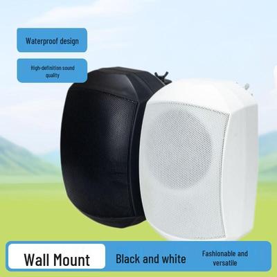 Tianlai 4" Dual-Use Waterproof Indoor/Outdoor Wall-Mounted Speaker G43