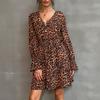 Amazon Autumn New European and American Dresses, Flared Long-sleeved V-neck Leopard Print Skirts, Cross-border Fashion Skirts