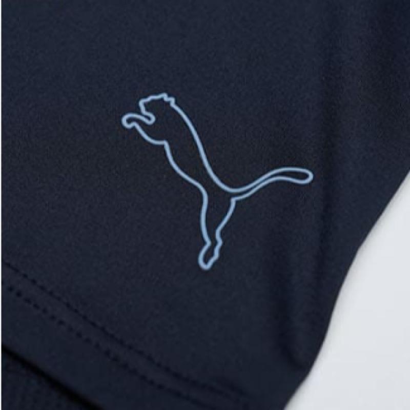 Puma Herren S Drycell Poly Span Unterhosen 10er Pack