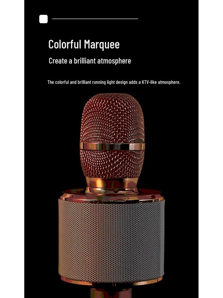 Wireless Home Karaoke Microphone for Kids with Built-in Speaker