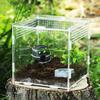 Clear Acrylic Reptile Feeding Box Stackable and Buckle Splicing Box for Scorpion Spider Frog