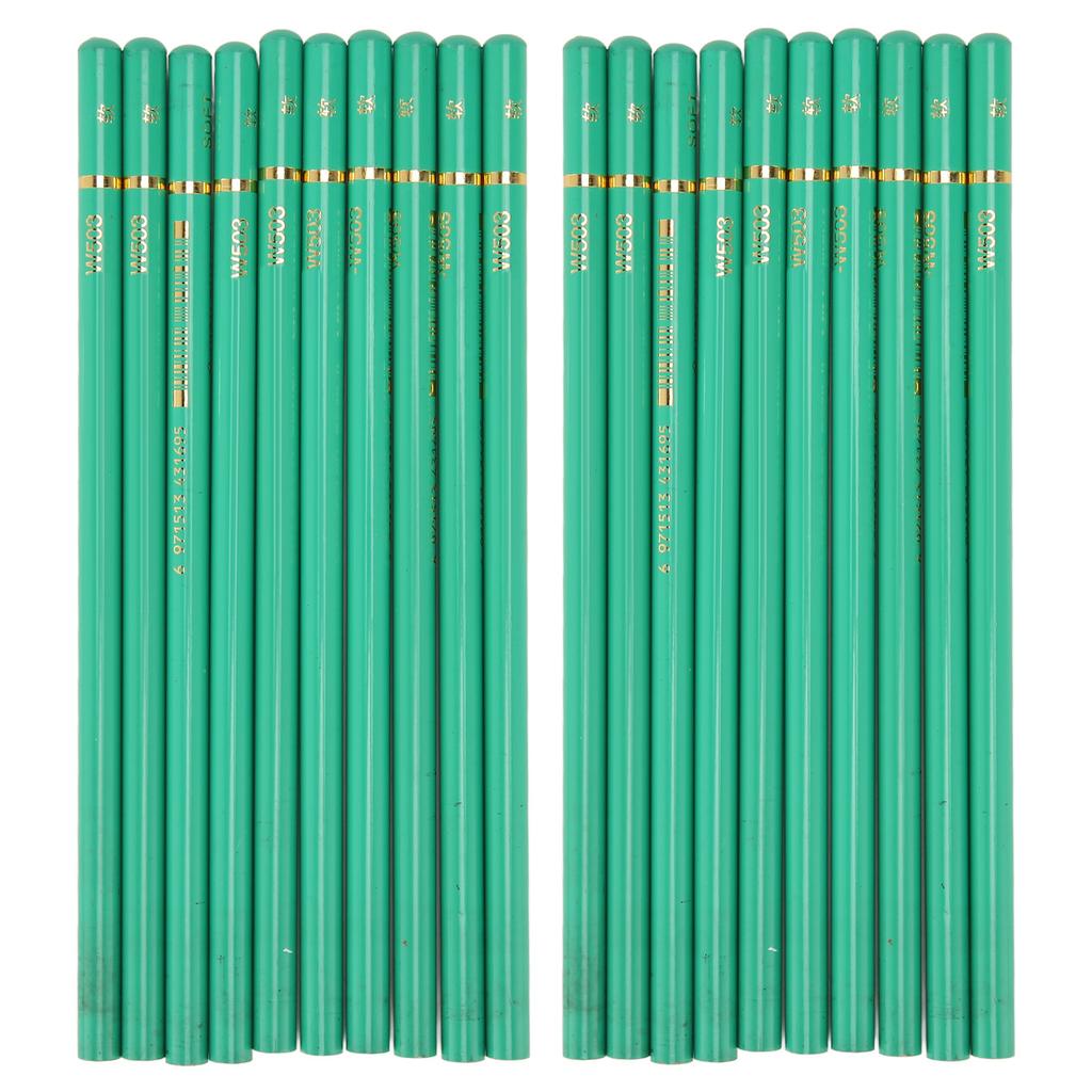 20pcs Charcoal Pencils Drawing Set Professional Unbreakable Safe Sketching Pencils Set for