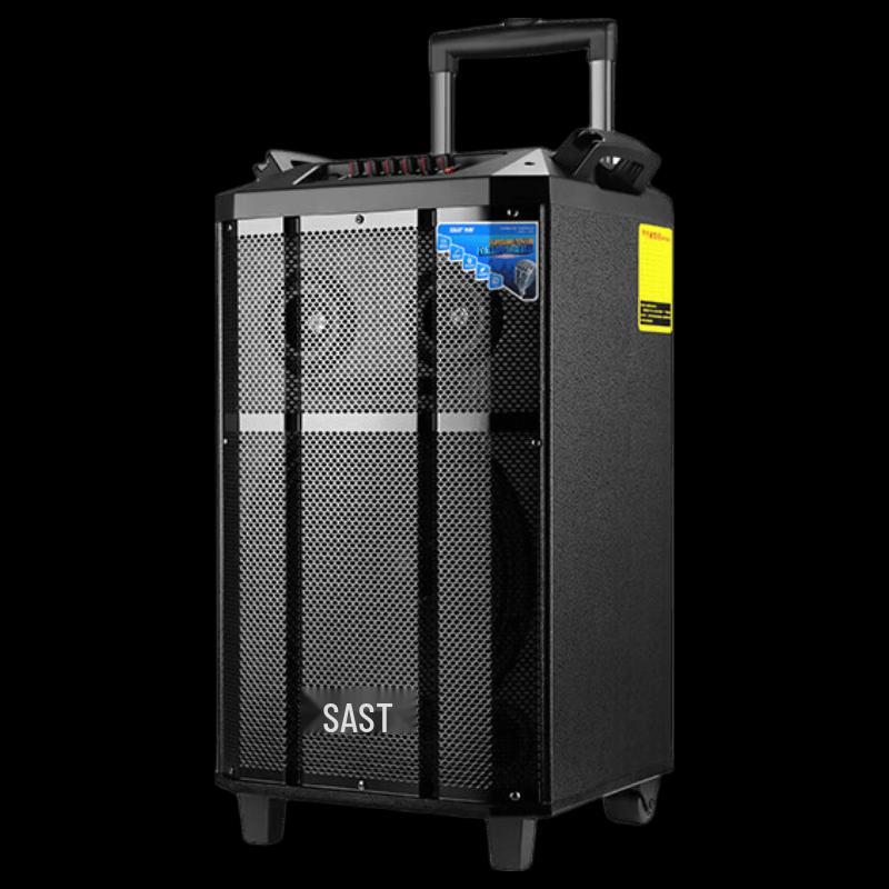 SAST 12-inch Portable Bluetooth Speaker (CN Version)