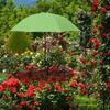 Shade Cloth for Garden Adjustable Outdoor Umbrella Gardening Supplies Patio Umbrellas Plant parasol Flowers Plants Shade Cover