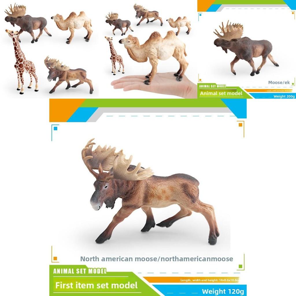 Wildlife Animal Model Set Pvc Camel Giraffe Educational Collectible For Kids Nature Learning