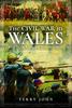 Kniha The Civil War In Wales : The Scouring of the Nation