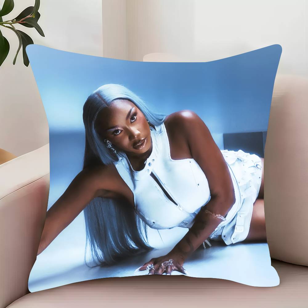Aya N-Nakamura Destinee  Pillow Case Decor Protective Covers Comfortable Soft for Sofa Living Room Home Office
