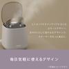 Panasonic Nano Care Steamer Dense Double Steam Light Aroma Stone Style Gray EH-SA70-H