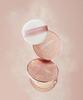 [makeup Helper] Art Pact Original Pro Finish Powder & Rose Glitter Brush Set 25g