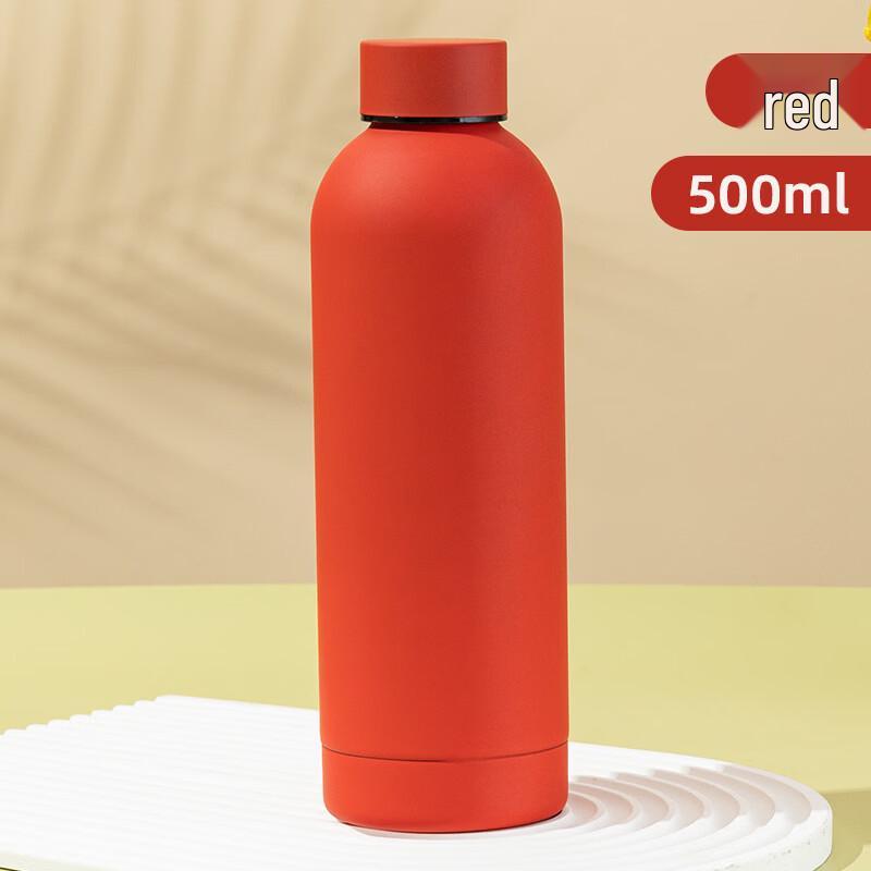 ZISIZ Double-Layer Insulated Water Bottle