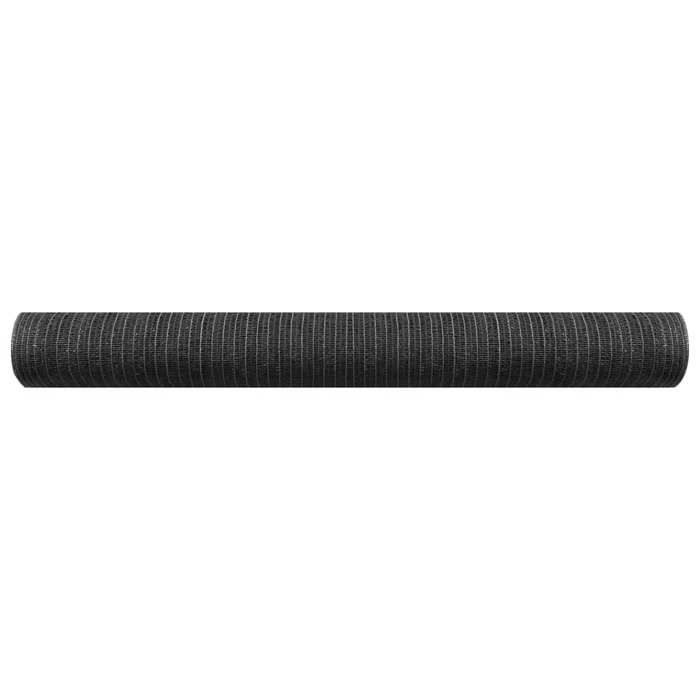 VidaXL Filet brise-vue Anthracite 1x10 m PEHD 150 g/m² 149281