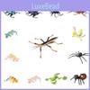Realistic Insect Model Set For Kids Educational And Collectible Toy Collection
