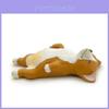 Obiecte de colecție și modele – Figurine