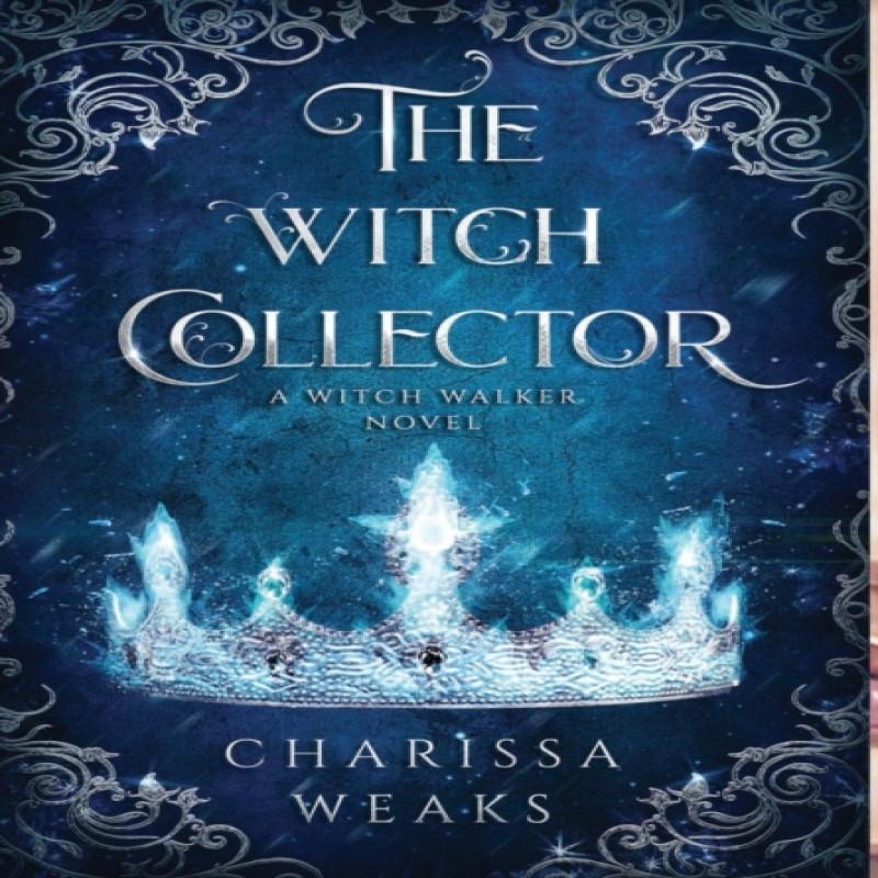 The Witch Collector by Charissa Weaks Hardback Book 9781648981555