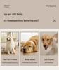 Pet Electric 4-in-1 Hair Clipper: Cat Paw, Dog & Pet Trimmer