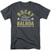 26 Rocky Rocky Philly Tričko Pánské Licencované Boxerský Film Balboa Creed Uhlově Šedé Unisex Tričko