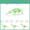 Classic Glow In The Dark Dinosaur Fossil Models Including T-rex Triceratops Plesiosaur And More