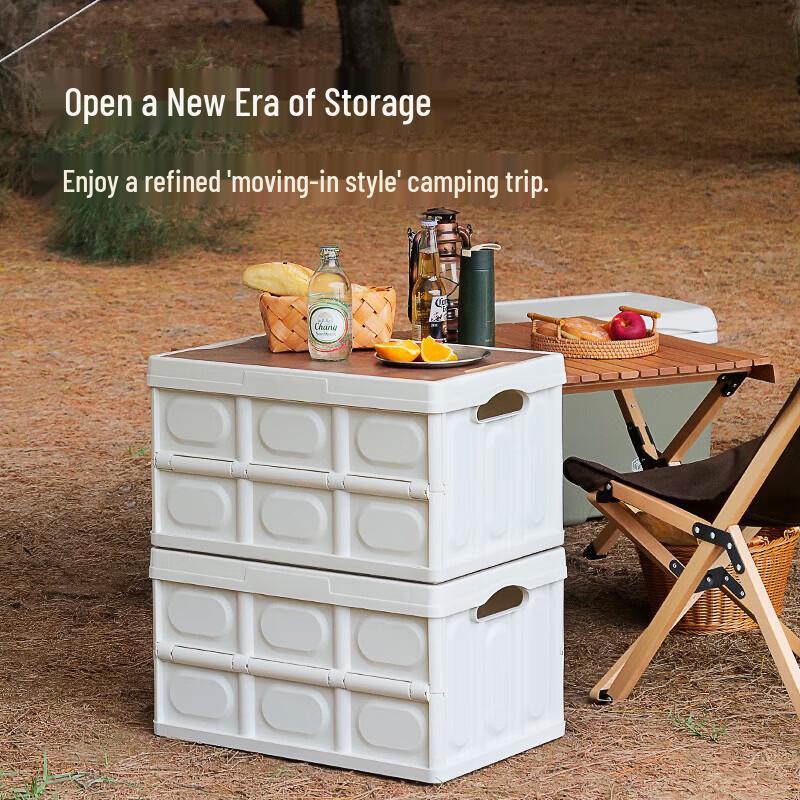 Niusz Foldable Portable Storage Box