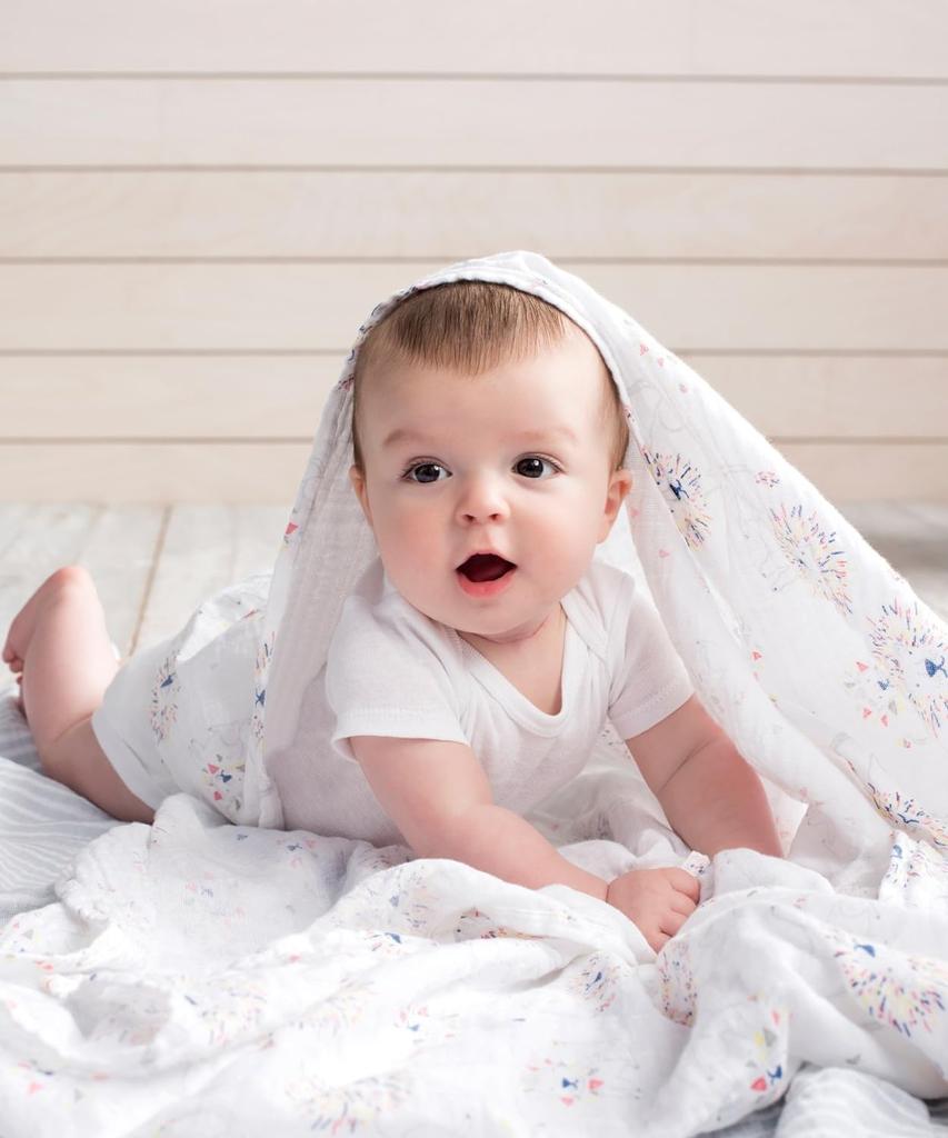 Swaddle Gauze Baby Japanese Product Aden Anais Swaddle Set of 4 Leader of the Pack Muslin 120 X 120cm Aiden and Anais Swaddle Baby Newborn 2060